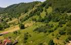 Teren 1.450 mp intravilan, la DN, cu priveliste de carte postala, Bran, Moieciu, - 13