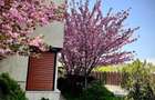 Vila duplex 2007,caramida,P+1+M,5 camere,4 bai,teren 482mp,2 loc. parcare curte - 3