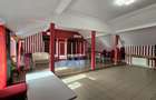 Spatiu Comercial cu terase si Hale de Vanzare in Frasin Suceava 0727817187 - 8