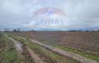 Parcel de teren casa de vanzare Giurgiu Primaria Adunatii-Copaceni - 4