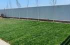 Vila 4  camere Parter