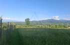 Teren 809 mp intravilan zonă în plină dezvoltare în Tropinii Noi - 16
