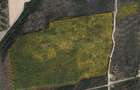Teren intravilan de vanzare, 9 hectare , 30 km de Oradea, Bihor - 1