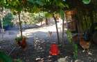 Pucioasa, casa si teren 1093 mp, gaze la poarta