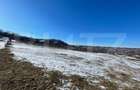 Teren extravilan, 9.600 mp, intrare Rădășeni - 2