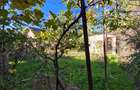 Valu lui Traian - teren 400 mp + casa 3 camere (72 mp ) /necesita renovare - 7