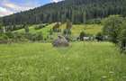 Casa 225 mp, teren intravilan 4822 mp C. Moldovenesc, Suceava - 29