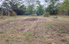 Teren 625 mp + Casă Renovată. Posibilitate Extindere sau Construcție Nouă - 6