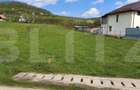 Teren Intravilan ideal pentru constructie case sau investitie in timp - 1