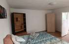 Casa de inchiriat cu 2 camere, mobilata si utilata, curte, Alba Iulia - 3