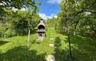 Casa zona Dambul Rotund - 12