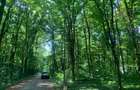 46644 mp teren in Padurea Baneasa proiect exclusivist - 10