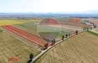 Teren 20,000mp Halchiu / Satul Nou - 4