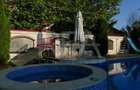 Vila Exclusivista | Piscina si 1877 m.p teren | Erou Iancu Nicolae - 7