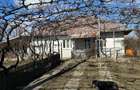 Casa batrineasca cu approx 2800 mp teren, vie, pomi fructiferi, zmeura, coacăze  - 2