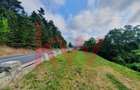 Teren cu priveliste superba si deschidere la drumul de Poiana Brasov - 5
