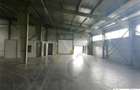 DEPOZIT TEMPERATURA CONTROLATA ALUTI & VALSI COLD STORAGE - 3