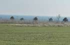 Teren Corbu- 2 hectare-  iesire la mare - 3