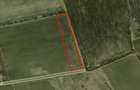 REL4000892 Corbeana - Ostratu 15200 mp langa padure - 7