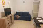 Studio dublu | Calea Floreasca | Demisol inalt - 3