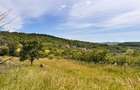 Oportunitate investiție! Teren 2.200 mp, Valea Budacului - 2