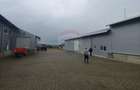 Spațiu industrial-depozit de 292mp de închiriat in Dumbraveni, SV - 3