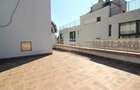 Penthouse 5 camere Gradina Icoanei - 9