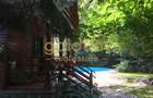 CASUTA DIN POVESTI/CURTE 1100MP/GRADINA MAGICA/SAUNA/PISCINA/SNAGOV - 45