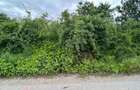 REL4001302 Teren sector 1 Centura DN1 Padurea Baneasa - 2