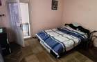 Casa 4 camere, Brailita, Sup Terenului 387 mp - 8