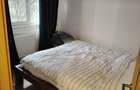 apartament 3 camere Drumul Taberei - 5