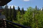 Apartament 4(patru) camere Predeal-Cioplea - 8