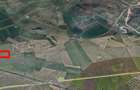 Teren agricol extravilan Sura Mare- 5000 mp - 1