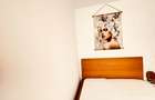 Apartament 2 camere Auchan Vitan, stradal, CENTRALA, mobilat si utilat modern - 12