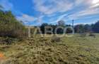 Teren intravilan zona Sambata de Sus 1596 mp de vanzare EXCLUSIVITATE - 2
