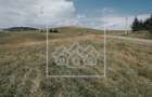 Teren intravilan constructii - 3000 mp - Paltinis - 7