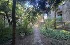 Proprietate unica la Grădina Icoanei - 13