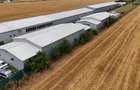 CIOLPANI, LOT 5.000 MP, HALE INDUSTRIALE! - 5