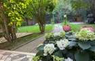 Vila 8 camere | padurea Baneasa | teren 383 mp - 21