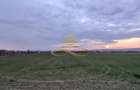 TEREN INTRAVILAN IN LILIECI, BACAU - 4