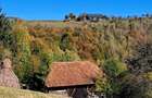Teren extravilan in localitatea Bulz - 13