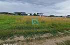 Teren intravilan, 600 mp, Sanpetru, Brasov - 2