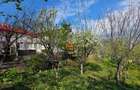 Teren intravilan - 1024 - Bucium - 3