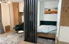 Apartament o cameră 41 mp plus terasa Ateneo Torontalului  - 9