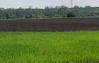 Sos de Centura Pantelimon Vanzare Teren 3,5 HA si 1, 1 HA - Cernica  25400MP - 12