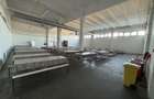 Complex industrial 30130  mp construit - Teren 42558 mp - 9