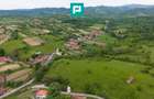 Proprietate de poveste pe Valea Mureșului, Lupești - 6