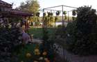 HORIA - 3 CAMERE ,SUPRAFATA 100 MP,TEREN 3000 MP CU DESCHIDERE LA LAC - 19