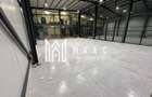 Hala | 250 MP | Teren 11.000 mp | - 7