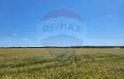 Teren intravilan 4,100 mp, fs 18 ml si 2222 mp fs 16 ml Peris IF - 1